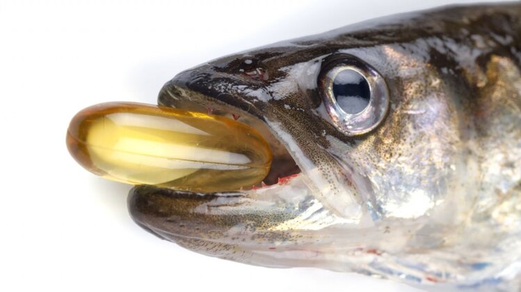 Óleo de Peixe Óleo de Peixe