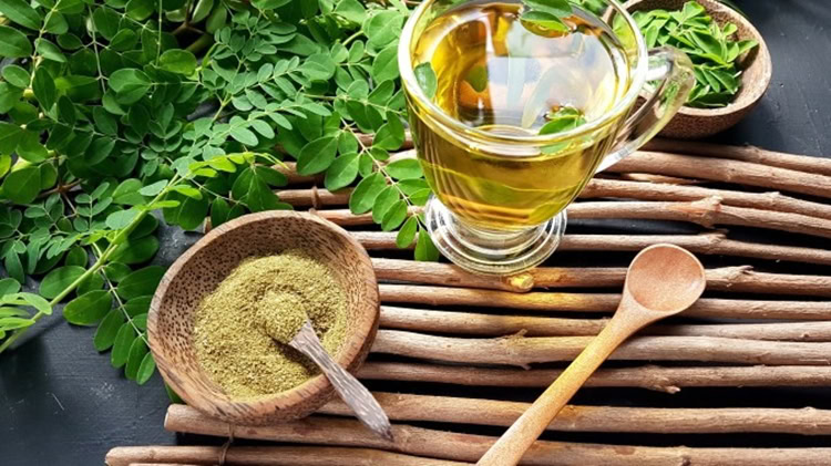 benefícios da moringa benefícios da moringa