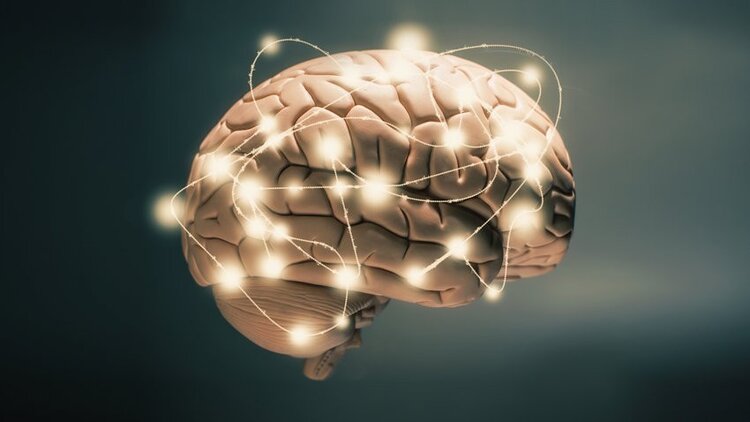 Epilepsia Epilepsia