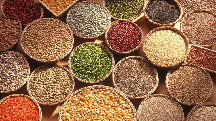 7 Alimentos que Ajudam Prevenir a Perda de Memória 7 Alimentos que Ajudam Prevenir a Perda de Memória