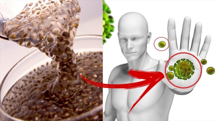 benefícios da chia benefícios da chia