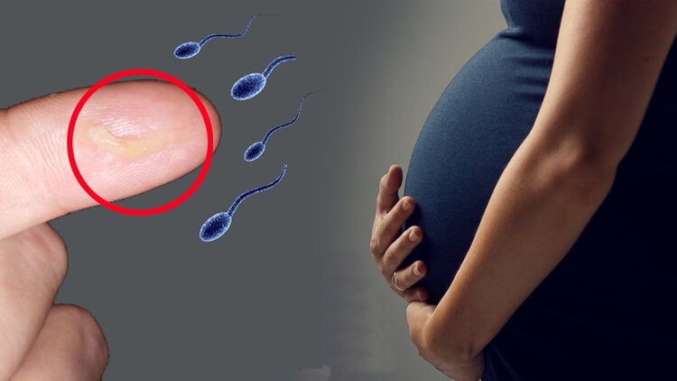 sinais da ovulaçao sinais da ovulaçao