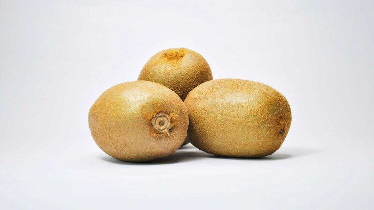 kiwi Jing Li kiwi Jing Li