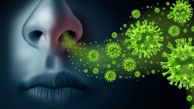 meios de contagio da influenza tipo a meios de contagio da influenza tipo a