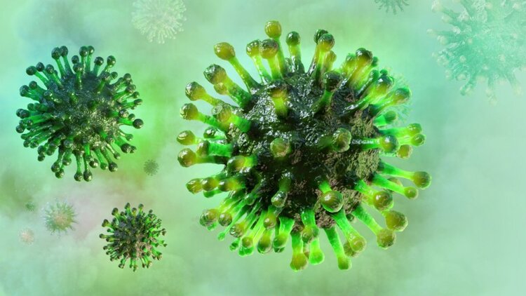 gripe h5n1 pode infectar humanos gripe h5n1 pode infectar humanos