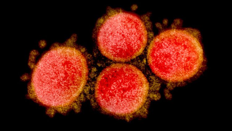 vacina fornece protecao contra doencas graves do virus omicron vacina fornece protecao contra doencas graves do virus omicron