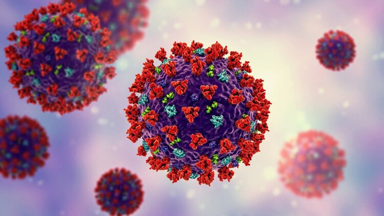 virus da influenza h3n2 virus da influenza h3n2