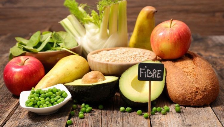 fibras fibras