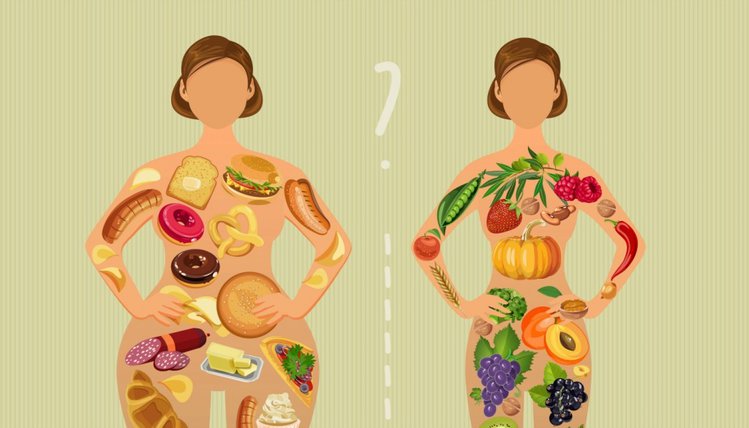 Dieta do emagrecer até 15kg: Como fazer, cardápio e dicas Dieta do emagrecer até 15kg: Como fazer, cardápio e dicas
