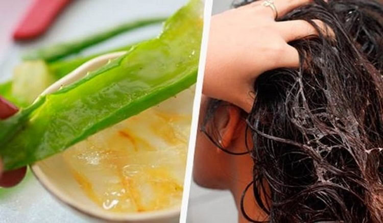 evitar perda de cabelo evitar perda de cabelo