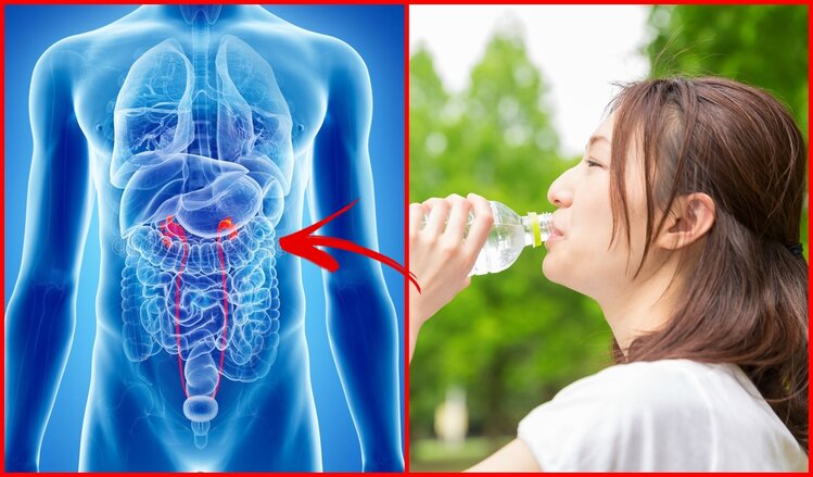 beneficios da terapia japonesa beneficios da terapia japonesa