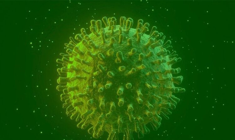 h3n2 h3n2