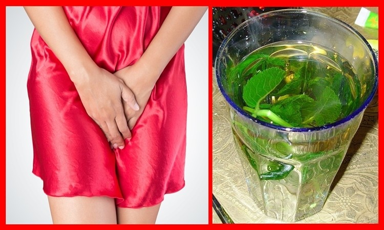 chas para fazer descer a menstruacao atrasada
