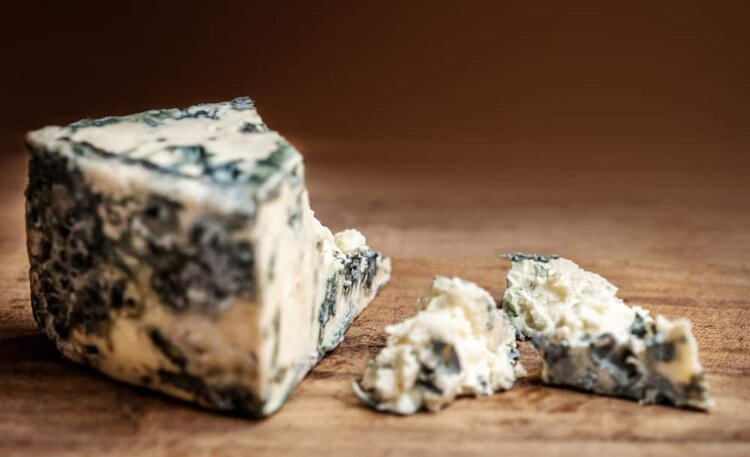 queijo gorgonzola queijo gorgonzola