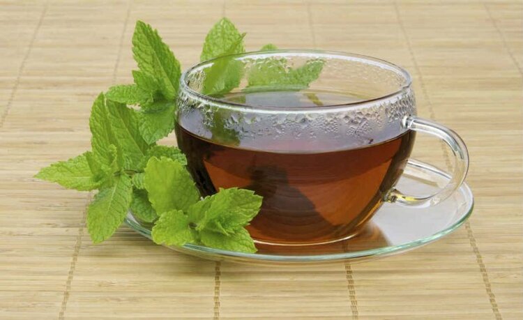 como fazer o cha de menta como fazer o cha de menta