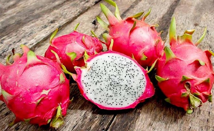 pitaya pitaya