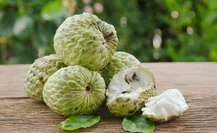 fruta do conde emagrece ou engorda fruta do conde emagrece ou engorda