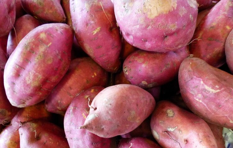 Batata Doce Batata Doce