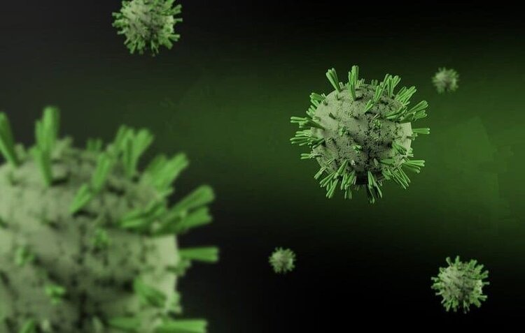 surto de gripe causado pelo virus h3n2 surto de gripe causado pelo virus h3n2