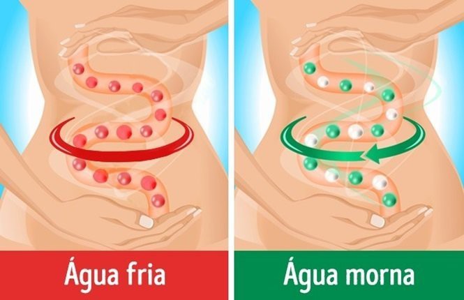Motivos Para Optar por Beber Água Morna em Vez de Fria Motivos Para Optar por Beber Água Morna em Vez de Fria