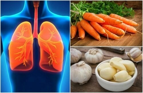 alimentos para melhorar capacidade pulmonar alimentos para melhorar capacidade pulmonar