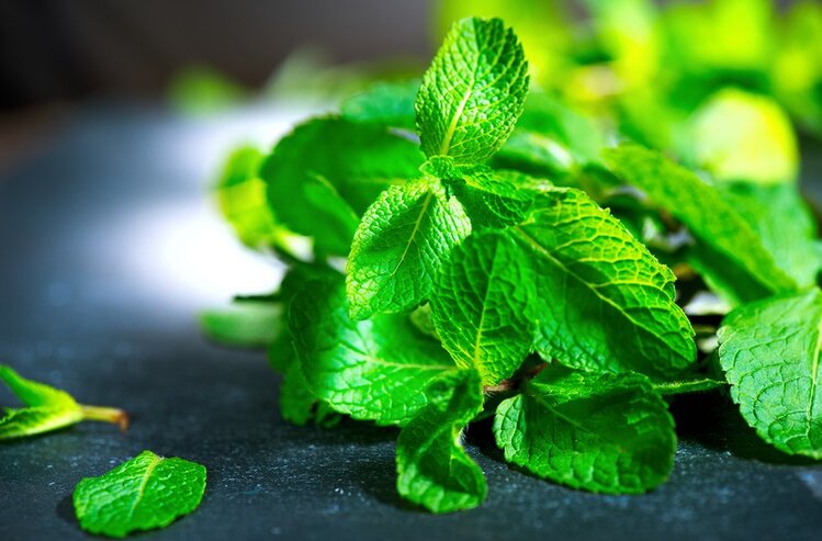 usar purificadores naturais usar purificadores naturais para prevenir o mau halito