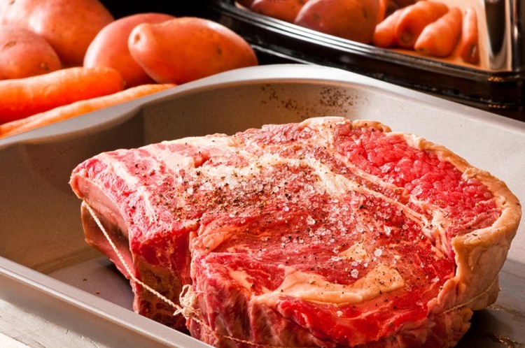 benefícios da carne de alce benefícios da carne de alce