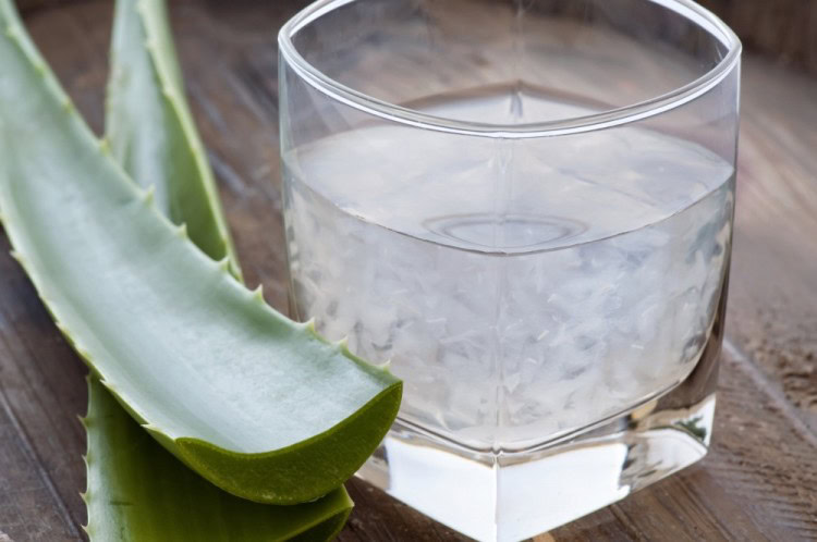 beba suco de aloe vera para refluxo beba suco de aloe vera para refluxo