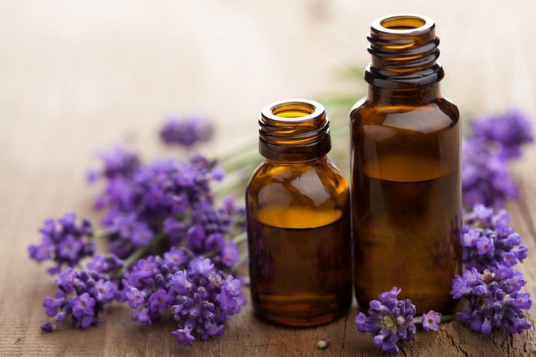 beneficios do oleo de lavanda beneficios do oleo de lavanda