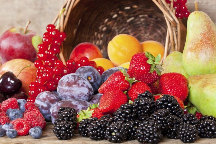 Benefícios dos Antioxidantes Benefícios dos Antioxidantes