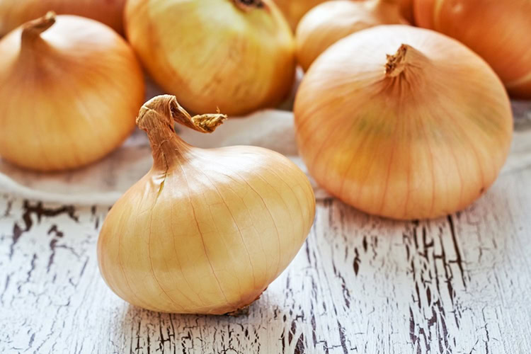 cebola cebola