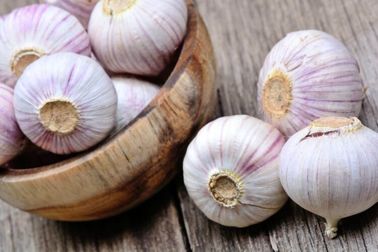 dicas para cultivar o alho em casa e utiliza-lo na cozinha dicas para cultivar o alho em casa e utiliza-lo na cozinha
