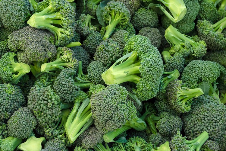 Dieta do Brócolis Dieta do brócolis: Funciona? como fazer, benefícios, cardápio e dicas