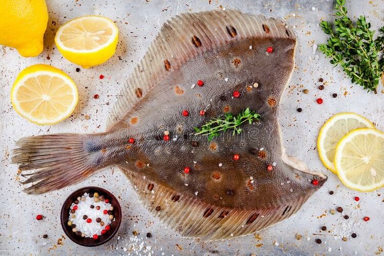 Peixe Solha Peixe Solha