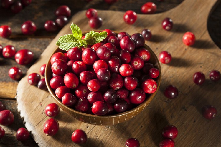 benefícios do cranberry benefícios do cranberry