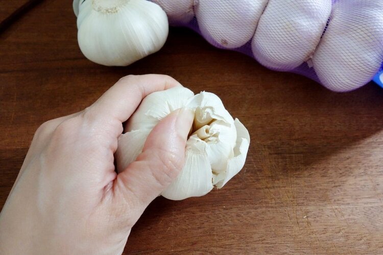 receita de alho para eliminar os fungos nas unhas receita de alho para eliminar os fungos nas unhas