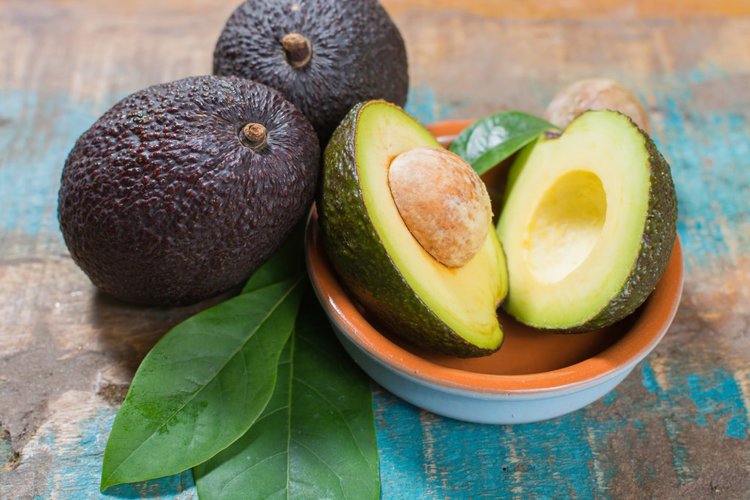 abacate e um superalimento abacate e um superalimento