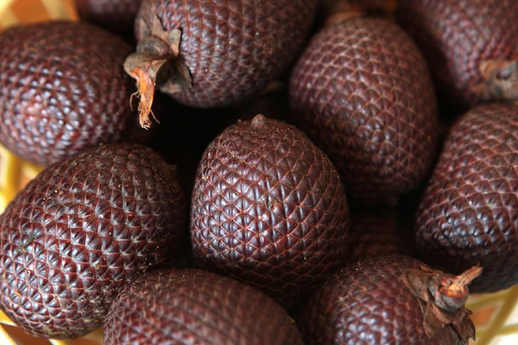 aguaje é uma fruta estranha fruta aguaje é uma fruta estranha