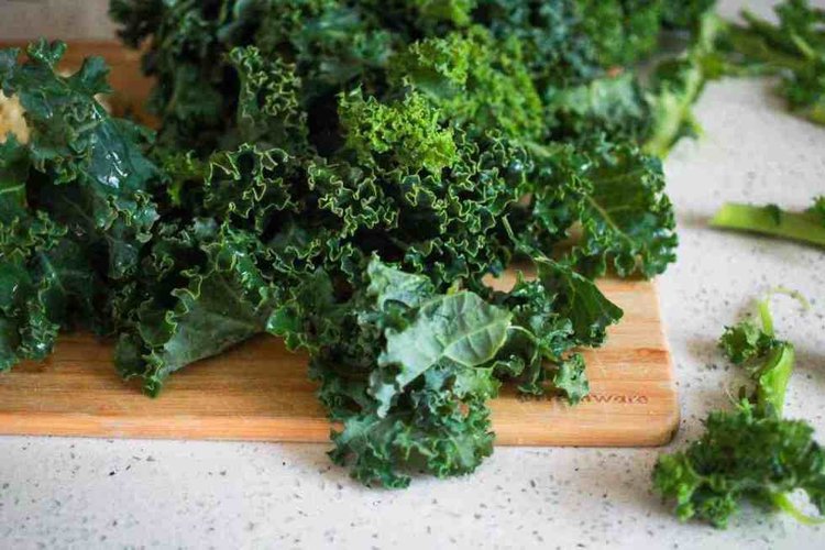 couve couve é um alimento saudavel