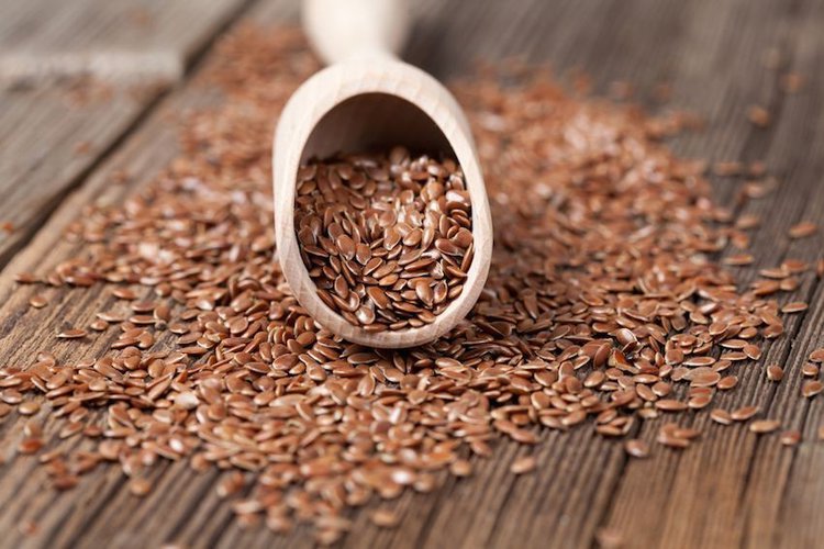 sementes de linho é um dos alimentos saudáveis para o cérebro sementes de linho é um dos alimentos saudáveis para o cérebro