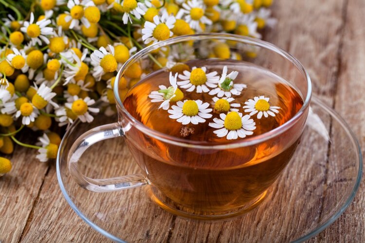 chá de camomila pode ser usado para relaxar chá de camomila pode ser usado para relaxar