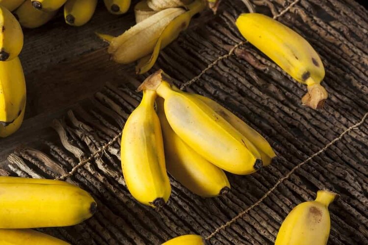 banana-nanica banana-nanica