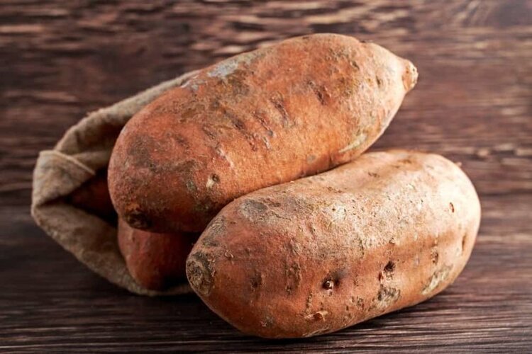 batata doce jersey batata doce jersey