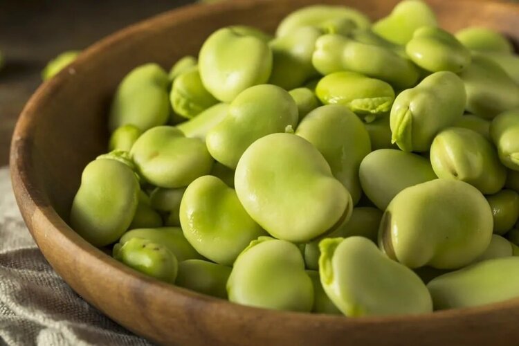 feijao fava feijao fava