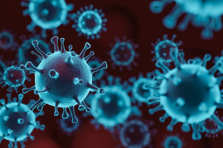 transmissao da influenza aviaria h5n1 transmissao da influenza aviaria h5n1