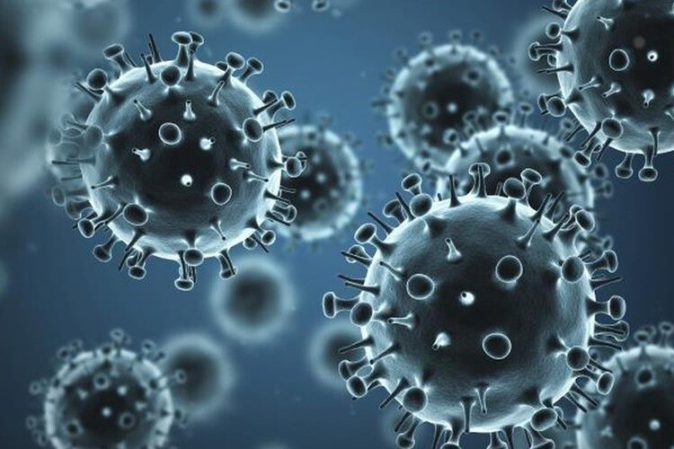 vacina da influenza h3n2 tem protecao cruzada contra a Darwin vacina da influenza h3n2 tem protecao cruzada contra a Darwin