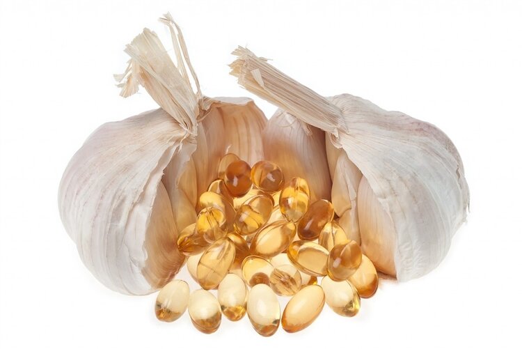 óleo de alho em capsulas mantém a saúde respiratória óleo de alho em capsulas mantém a saúde respiratória