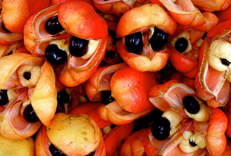 Benefícios do Ackee Benefícios do Ackee