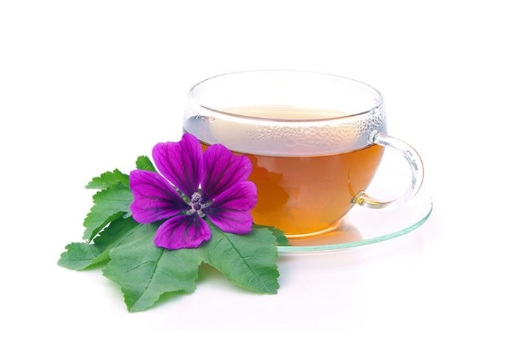 chá de malva chá de malva