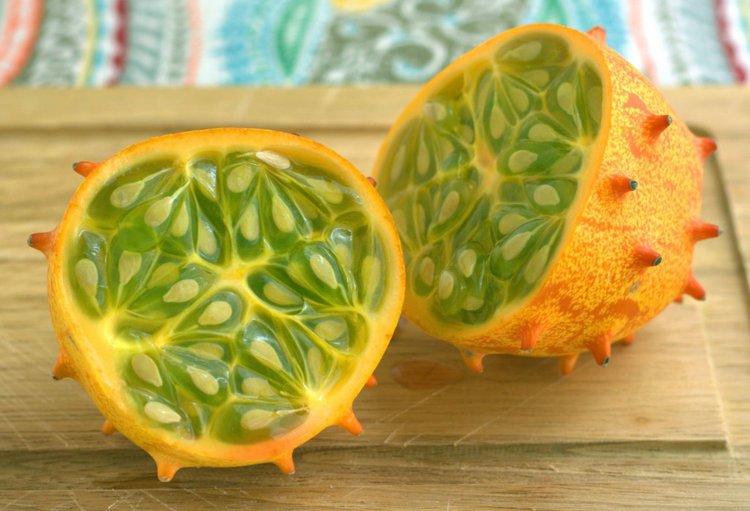 pepino africano pepino africano